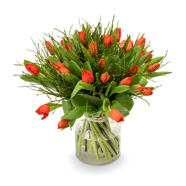 Kytice červených tulipánů